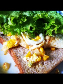 Foto resep Low Carb Egg Sandwich