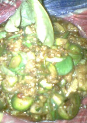 Foto resep Tumis Terong Bola