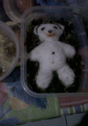 Foto resep Bento "Panda mandi soto bayem"