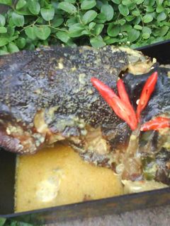 Foto resep Kepala Manyung