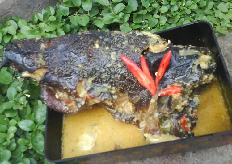 Kepala Manyung