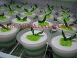 Puding Tape Ketan Ijo