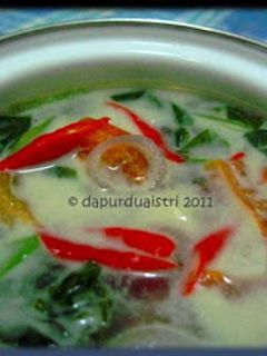 Foto resep lodeh bayam