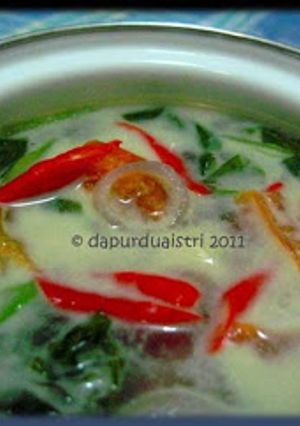 Foto resep lodeh bayam