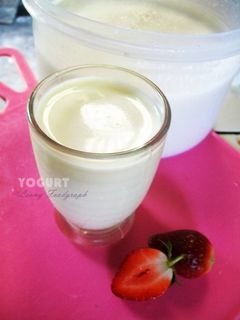 Foto resep YOGURT RUMAHAN