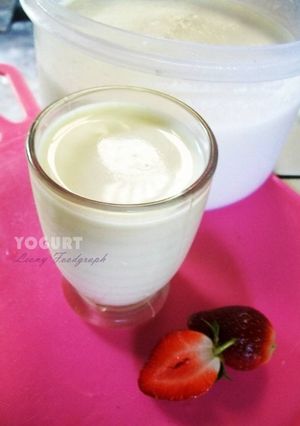 Foto resep YOGURT RUMAHAN