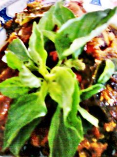 Foto resep Lele Pedas Manis