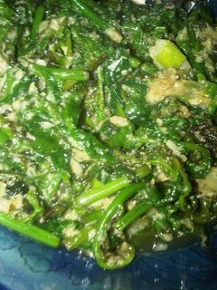 Foto resep Tumis Pakis Ebi