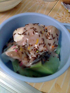 Foto resep Puding Es Krim Coklat Vanila