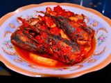 Gambolo Balado Spesial