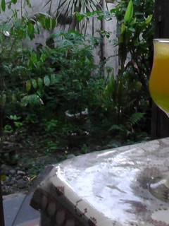 Foto resep fantastic orange with melon jelly