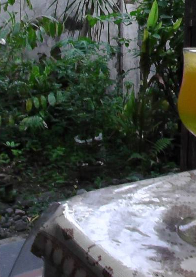 Foto resep fantastic orange with melon jelly