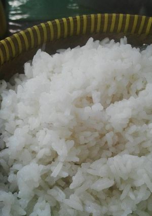 A picture of Steamed White Rice (Nasi Putih).