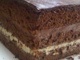 Two Season Cake ala Dapur Cokelat