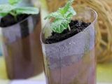 POTTED MINT CHOCOLATE PUDDING