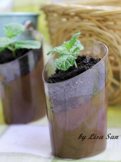 Foto resep POTTED MINT CHOCOLATE PUDDING