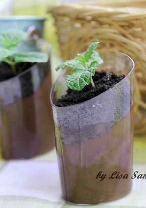 Foto resep POTTED MINT CHOCOLATE PUDDING