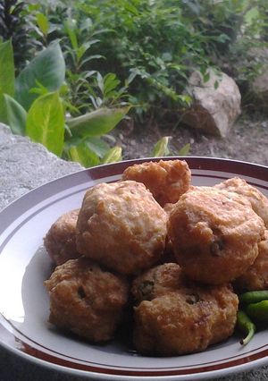 Foto resep Bola Tahu Rebon