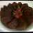 Kue Sarang Semut (Caramel cake)