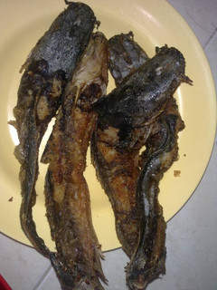 Foto resep Lele Goreng