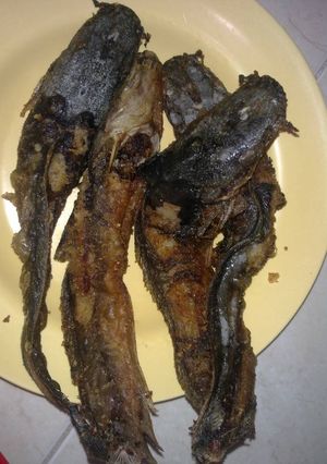 Foto resep Lele Goreng