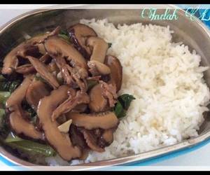 Mudahnya Memasak Lunch Bento with Bakcoy Tumis Saos Tiram Praktis Enak Mudahnya Memasak Lunch Bento with Bakcoy Tumis Saos Tiram Praktis Enak