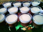 Gambar fla pudding pakai tapioka