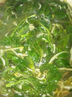 Foto resep Tumis Bayam Pedas