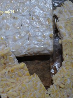 Foto resep Cara Membuat Tempe Homemade