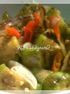 Foto resep Tumis Terong Teri Jengki