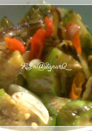 Foto resep Tumis Terong Teri Jengki