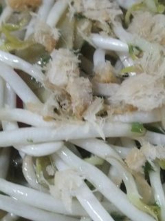 Foto resep Tumis Tauge Ikan Asin