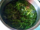 sayur bening bayam