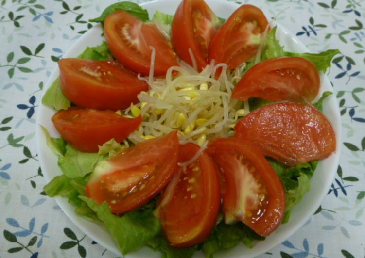 Resep Salad Tomat Toge Ponzu Dressing Super Enak