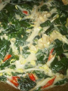 Foto resep Lodeh Daun Katuk