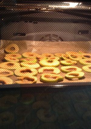 Foto resep Apple Chips Parkplatz