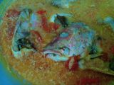 gulai kakap merah