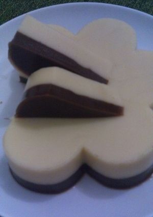 Foto resep Puding Mentega