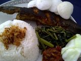 Pecel Lele Spesial from Bremen