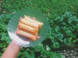 Fried Mozarella Cheese