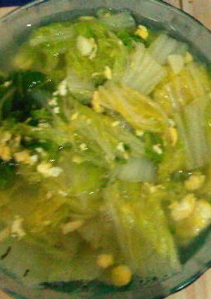 Foto resep tumis sawi putih hemat