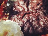 Chocolate Brownies 