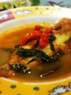 Foto resep SUP NILA KUAH KUNING