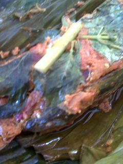 Foto resep Pepes Layang