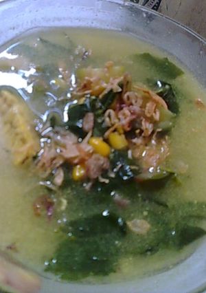 Foto resep Bobor katuk segeeeer....