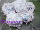 03. Klepon