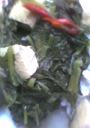 Foto resep Lodeh mbayung tahu kulit sueger tenan,,