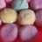 mochi praktis