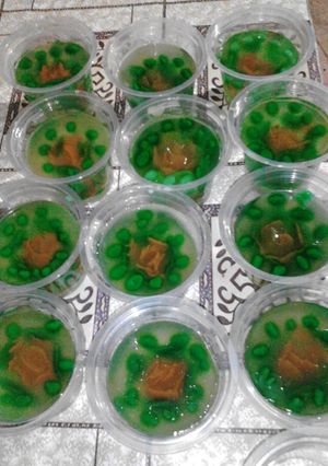 Foto resep pudding art cup cantik 