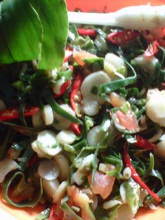 Foto resep Tumis Daun Kencur